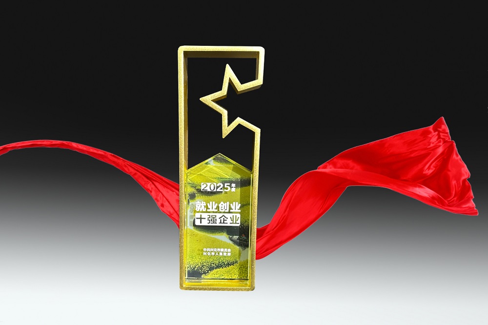 2025年度兴化市就业创业十强企业